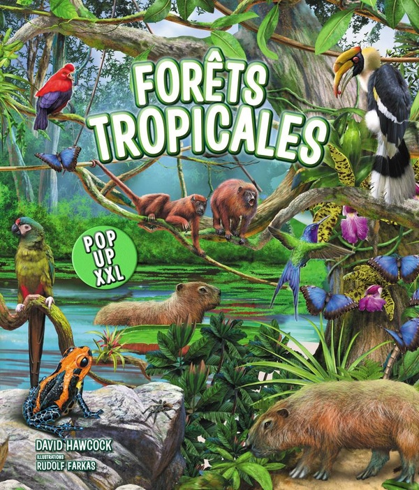 FORETS TROPICALES - POP-UP XXL