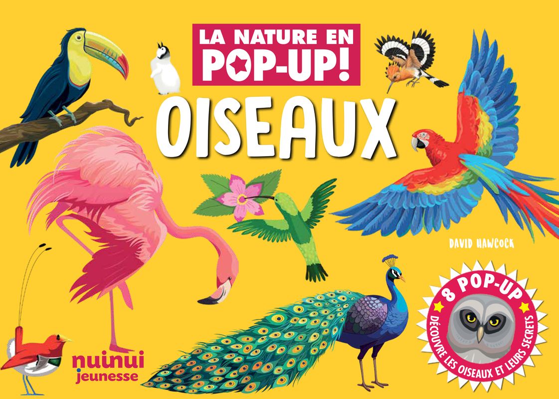 LA NATURE EN POP-UP - OISEAUX