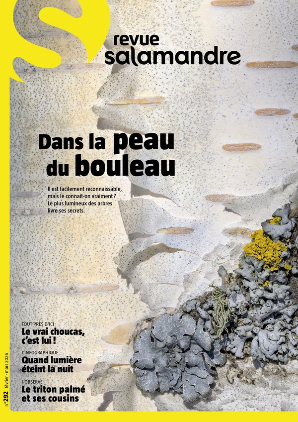 REVUE LA SALAMANDRE N 292 - FEVRIER 2026