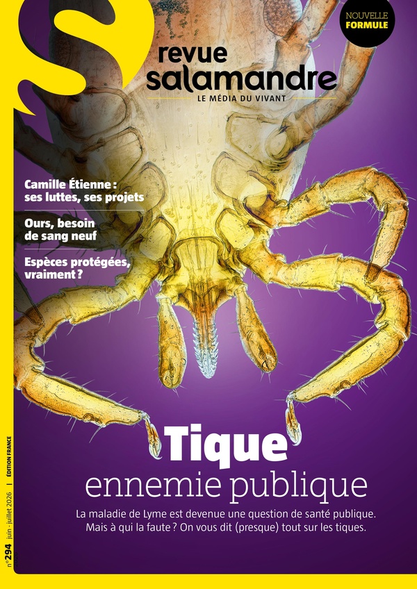REVUE LA SALAMANDRE N 294 - JUIN 2026