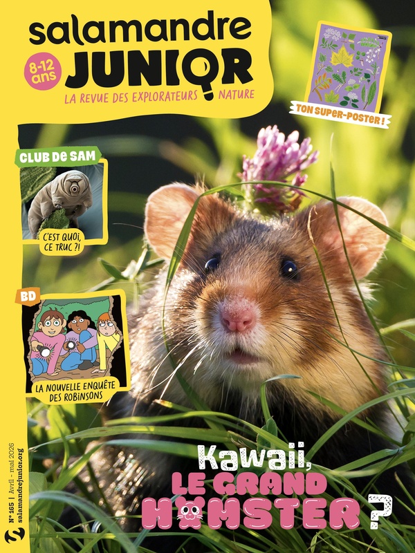 SALAMANDRE JUNIOR N 165 - AVRIL 2026