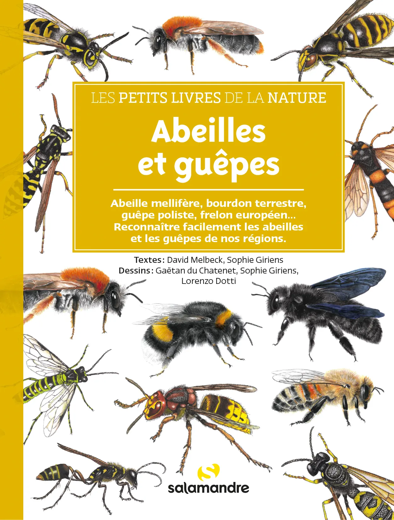 ABEILLES ET GUEPES