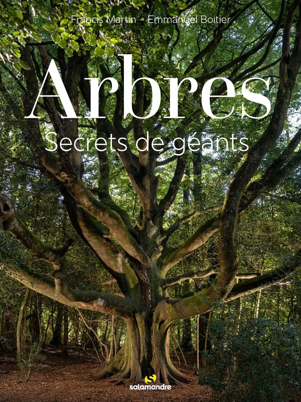 ARBRES, SECRETS DE GEANTS