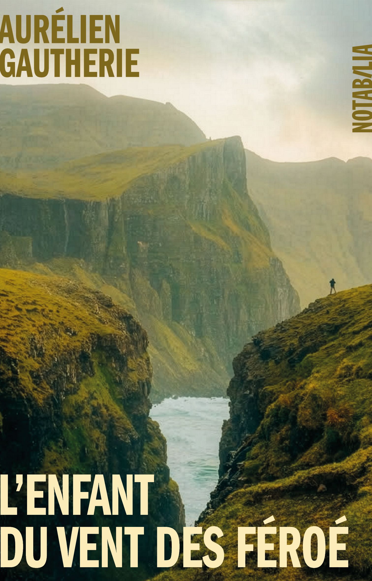 couverture du livre L'ENFANT DU VENT DES FEROE