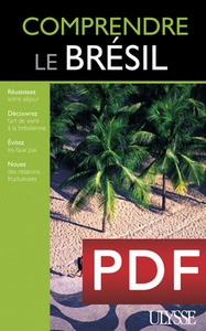 COMPRENDRE LE BRESIL