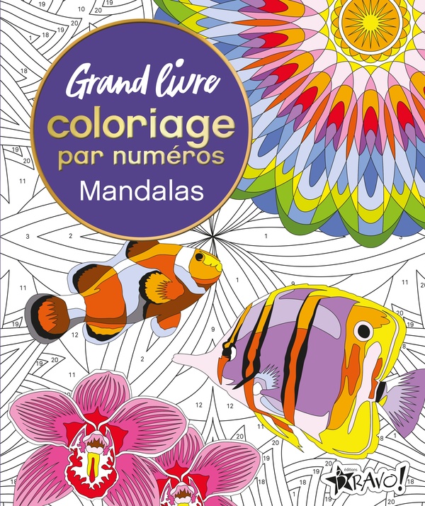 GRAND LIVRE COLORIAGE PAR NUMEROS - MANDALAS