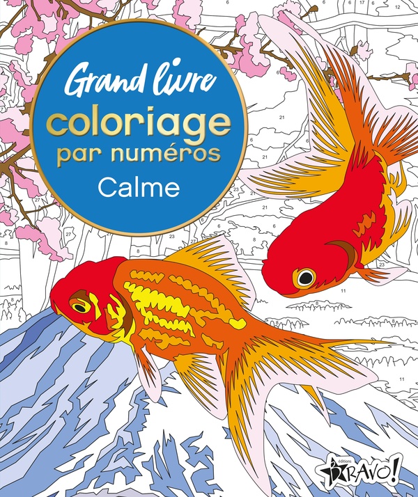 GRAND LIVRE COLORIAGE PAR NUMEROS - CALME