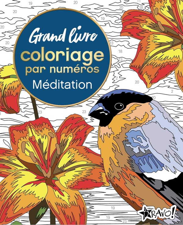 GRAND LIVRE COLORIAGE PAR NUMEROS - MEDITATION
