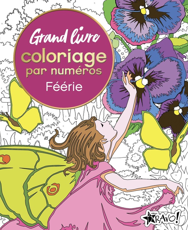 GRAND LIVRE COLORIAGE PAR NUMEROS - FEERIE