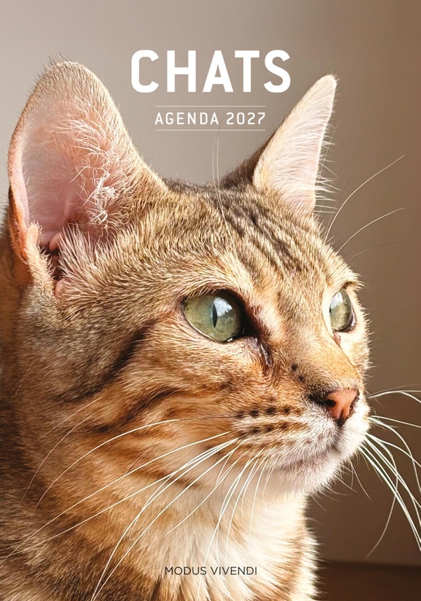 CHATS - AGENDA 2027