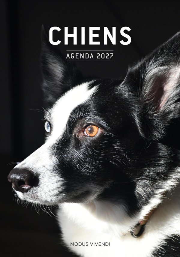 CHIENS - AGENDA 2027