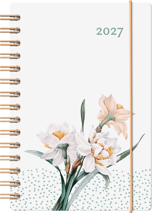 AGENDA BARO-EUN 2027 NARCISSE
