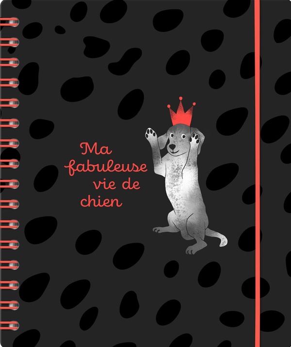 MA FABULEUSE VIE DE CHIEN - ACHIO-EU
