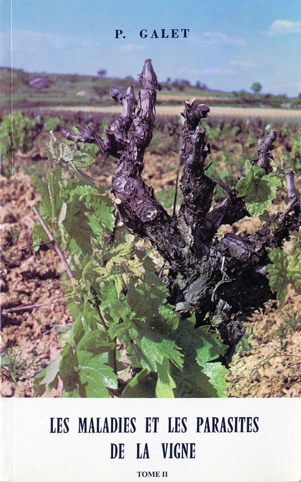 LES MALADIES ET LES PARASITES DE LA VIGNE - T02 - LES MALADIES ET LES PARASITES DE LA VIGNE - VOL02
