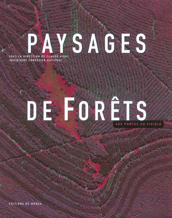 PAYSAGES DE FORETS AUX PORTES DU VISIBLE
