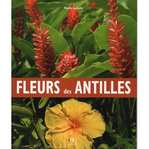FLEURS DES ANTILLES