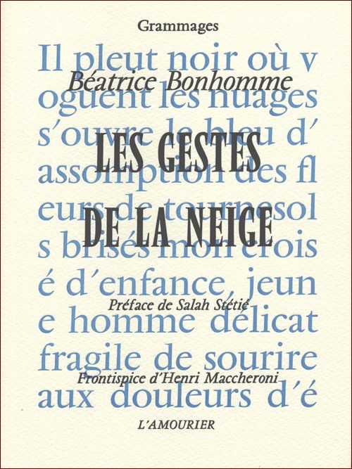 LES GESTES DE LA NEIGE