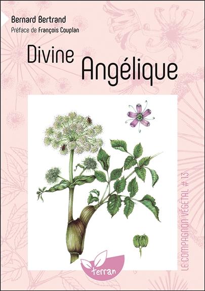 DIVINE ANGELIQUE