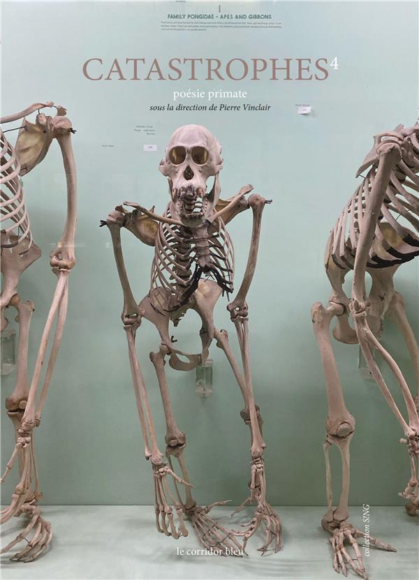 CATASTROPHES 4 : POESIE PRIMATE