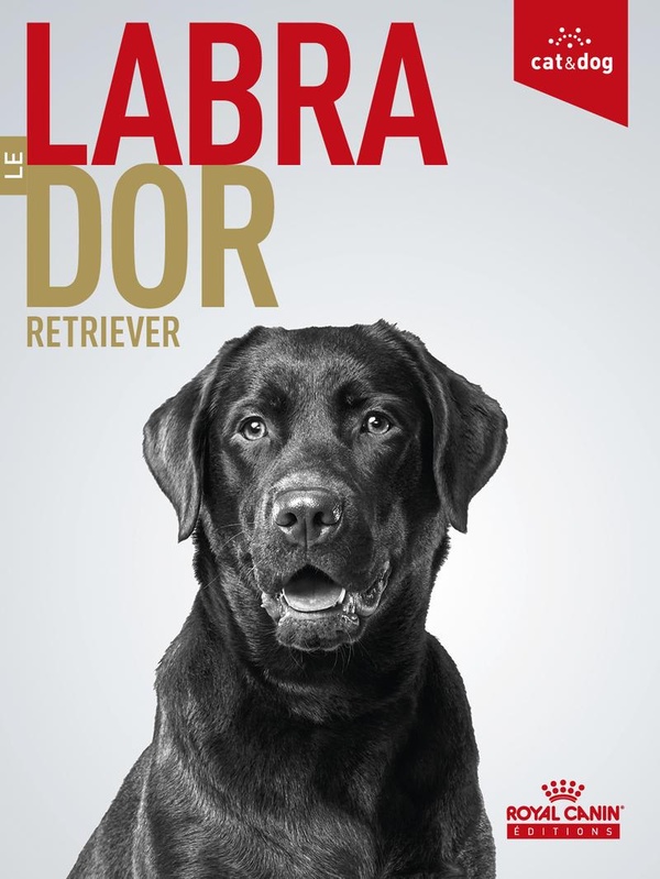 LE LABRADOR RETRIEVER
