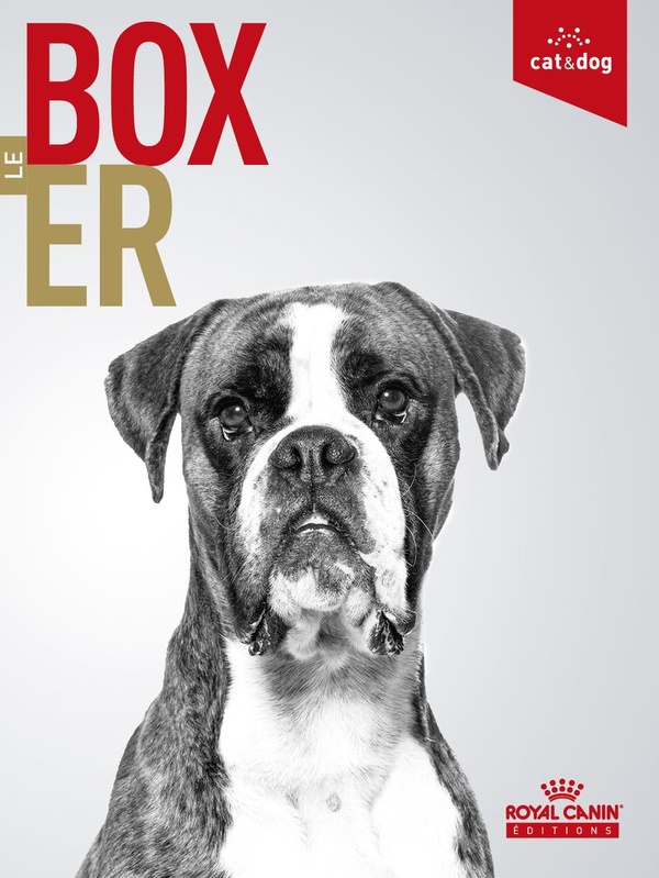 LE BOXER
