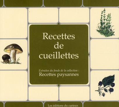 RECETTES DE CUEILLETTES (BP)