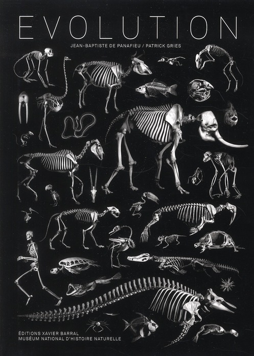 EVOLUTION