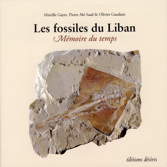 LES FOSSILES DU LIBAN - MEMOIRE DU TEMPS