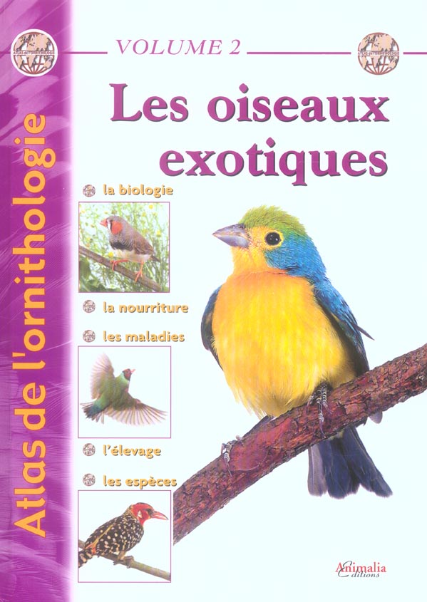 LES OISEAUX EXOTIQUES