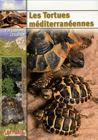 LES TORTUES MEDITERRANEENNES