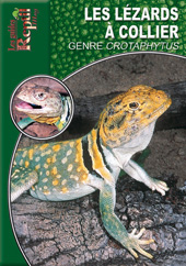 LEZARDS A COLLIER - LE GENRE CROTAPHYTUS