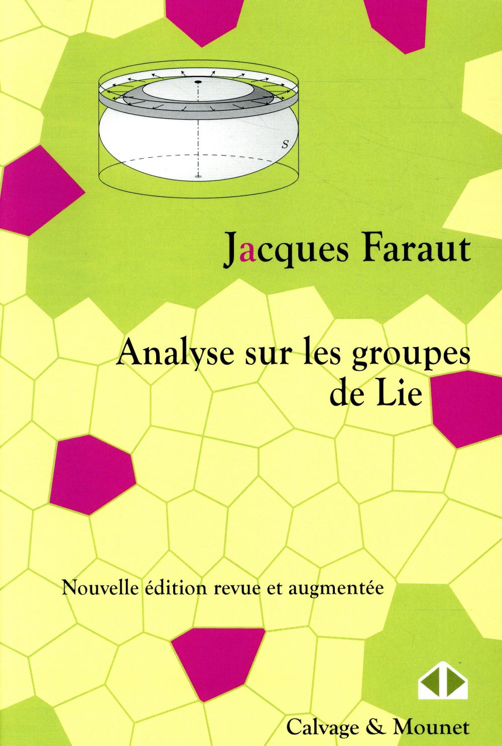 ANALYSE SUR LES GROUPES DE LIE - UNE INTRODUCTION