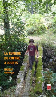 LA RUMEUR DU COFFRE A JOUETS, HAIKUS