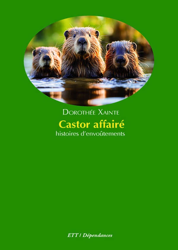 CASTOR AFFAIRE