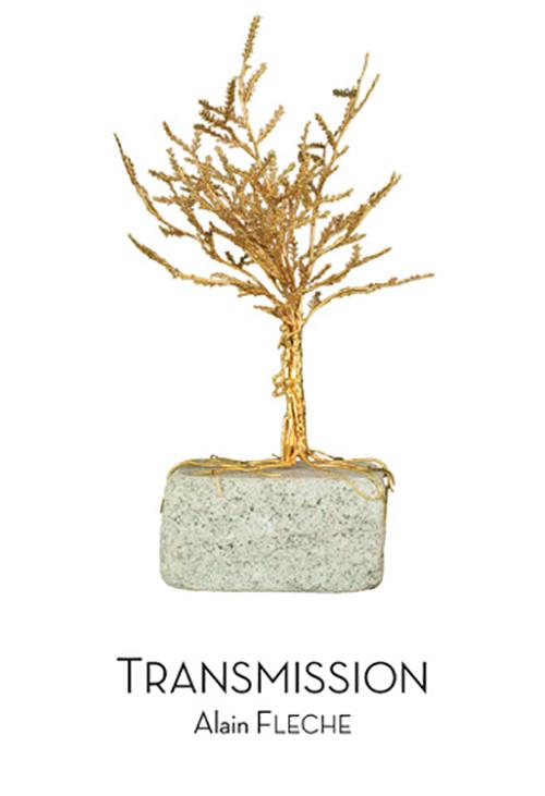 TRANSMISSION