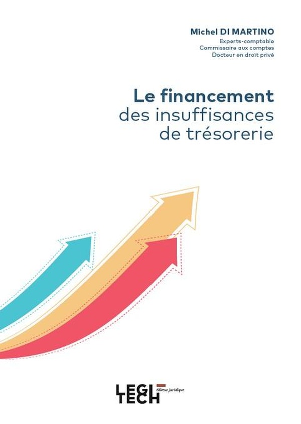 LE FINANCEMENT DES INSUFFISANCES DE TRESORERIE