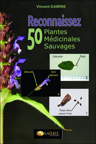 RECONNAISSEZ 50 PLANTES MEDICINALES SAUVAGES