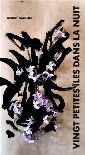 VINGT PETITES ILES DANS LA NUIT - ILLUSTRATIONS, COULEUR