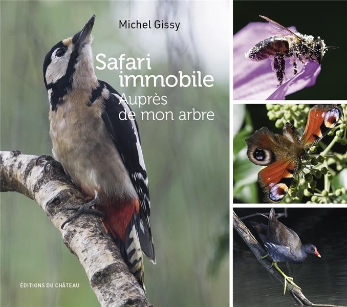 SAFARI IMMOBILE - AUPRES DE MON ARBRE