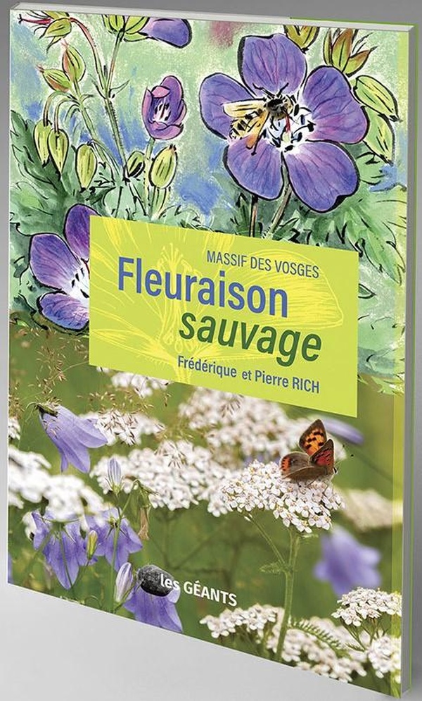 FLORAISON SAUVAGE - MASSIF DES VOSGES