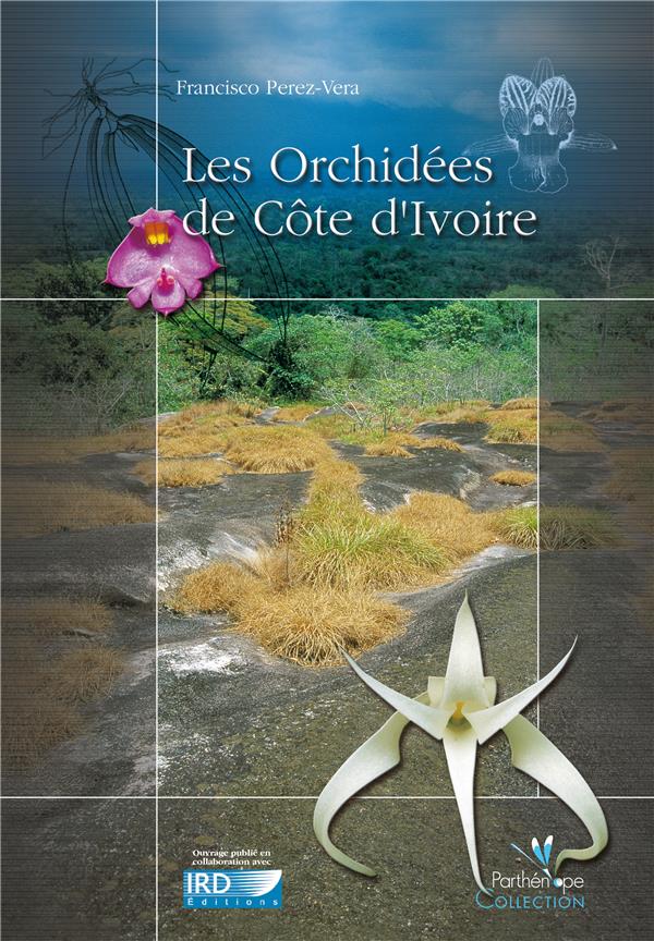 LES ORCHIDEES DE COTE D'IVOIRE