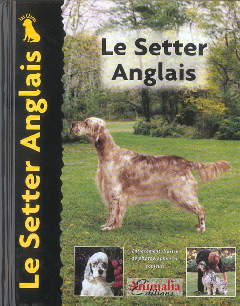 LE SETTER ANGLAIS