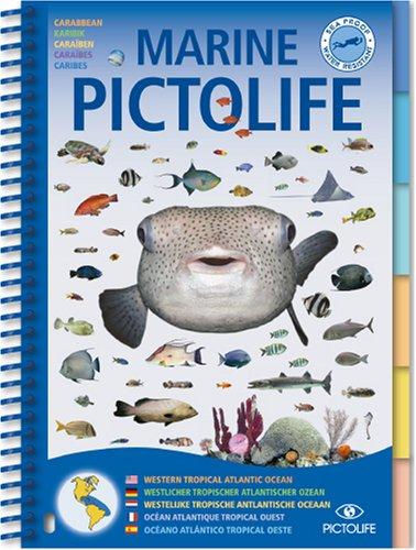 PICTOLIFE ATLANTIQUE TROPICAL OUEST