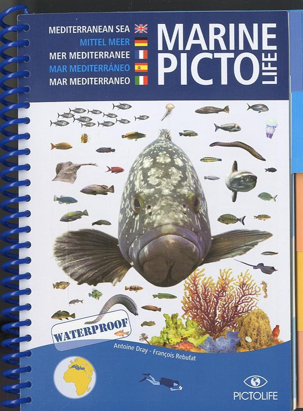 PICTOLIFE MER MEDITERRANEE
