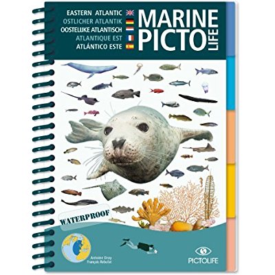 PICTOLIFE ATLANTIQUE EST
