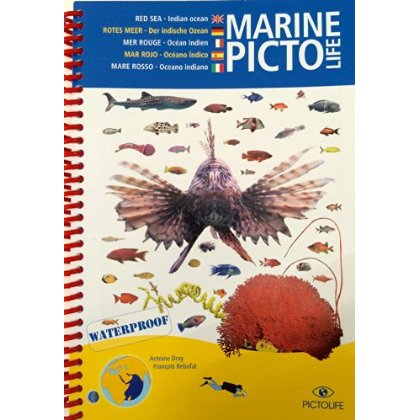 PICTOLIFE MER ROUGE - OCEAN INDIEN