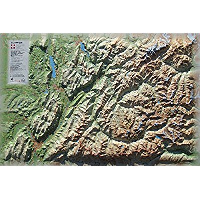 CARTE EN RELIEF DE LA SAVOIE