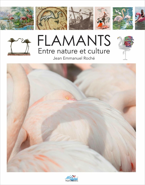 FLAMANT - ENTRE NATURE ET CULTURE
