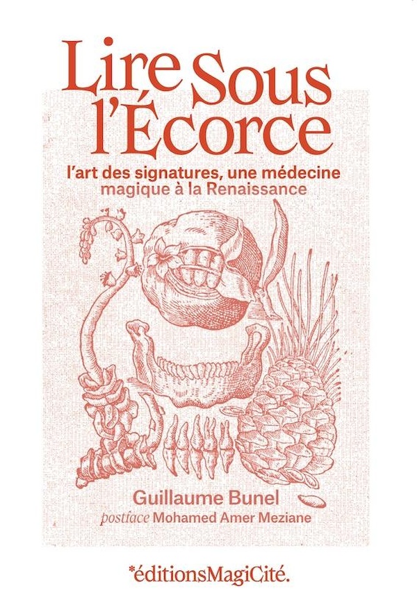 LIRE SOUS L'ECORCE - L'ART DES SIGNATURES, UNE MEDECINE MAGIQUE A LA RENAISSANCE