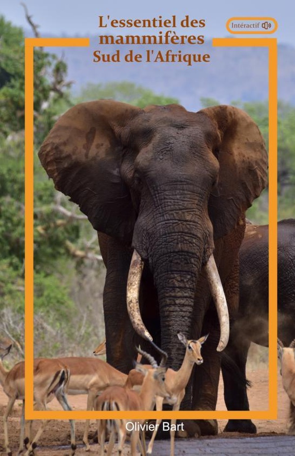 L'ESSENTIEL DES MAMMIFERES SUD AFRIQUE
